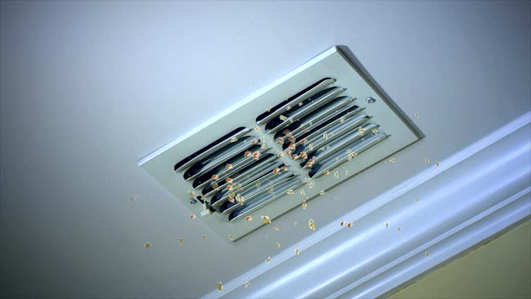 Best HVAC Air Duct Cleaning  in Loma Linda, CA