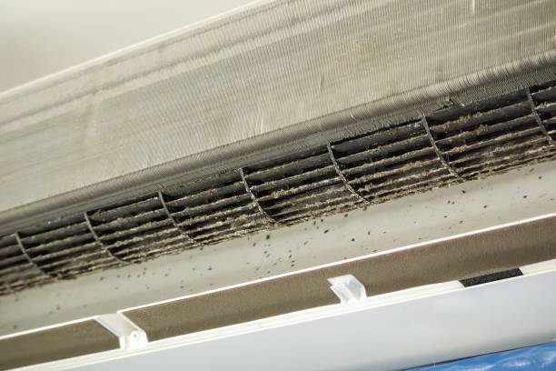Best Affordable Duct Cleaning Services  in Loma Linda, CA